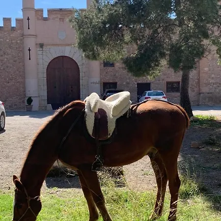 Castillo Con Piscina En Plena Sierra Calderona Lägenhet *
